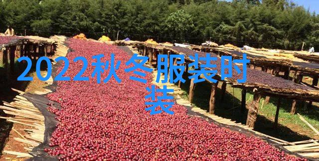 能把职业装穿的这么好看 除了袁泉我只服明莉