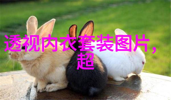 让蕾丝走进你的秋天多姿的生活