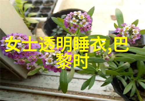 一件白衬衫玩转整个秋季总有一款适合你